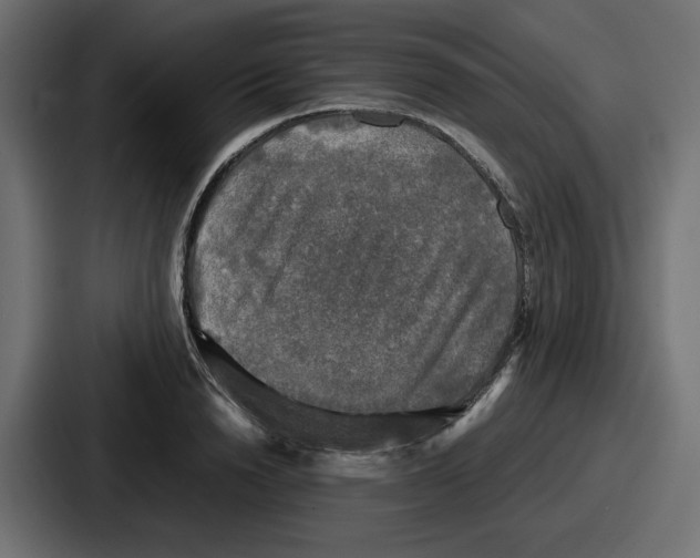 X0000086760846200705111713