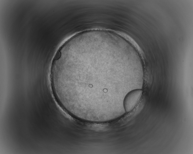 X0000086760847200705111713