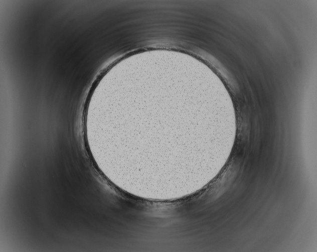 X0000086760848200705111713