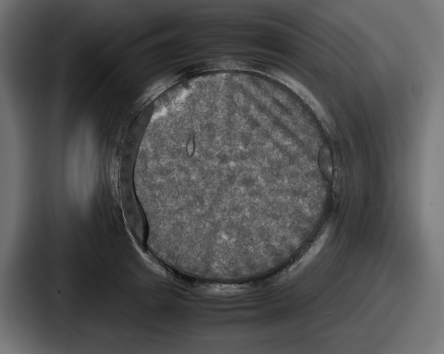 X0000086760849200705111713