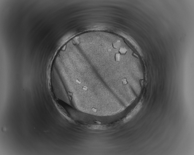 X0000086760850200705111713