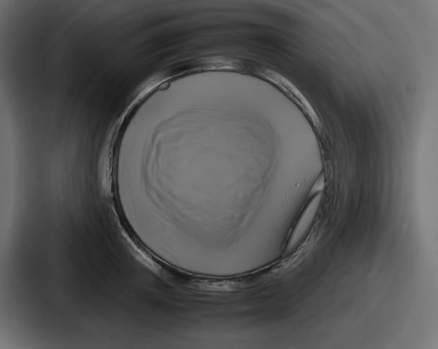 X0000086760851200705111713