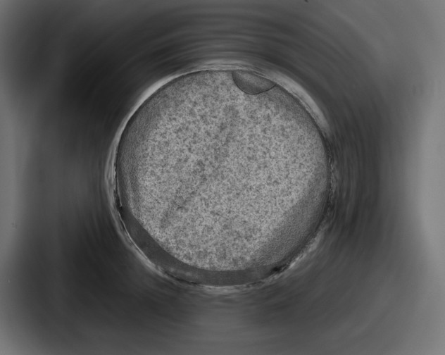 X0000086760852200705111713