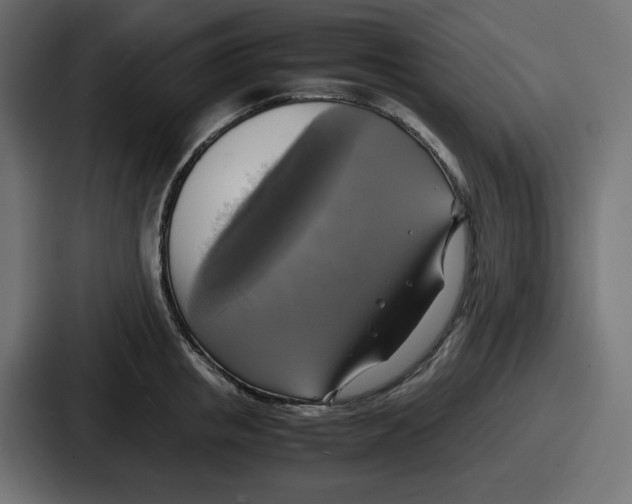 X0000086760853200705111713