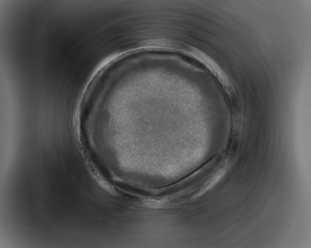 X0000086760854200705111713