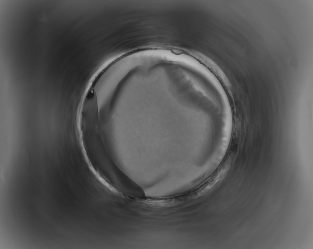 X0000086760855200705111713