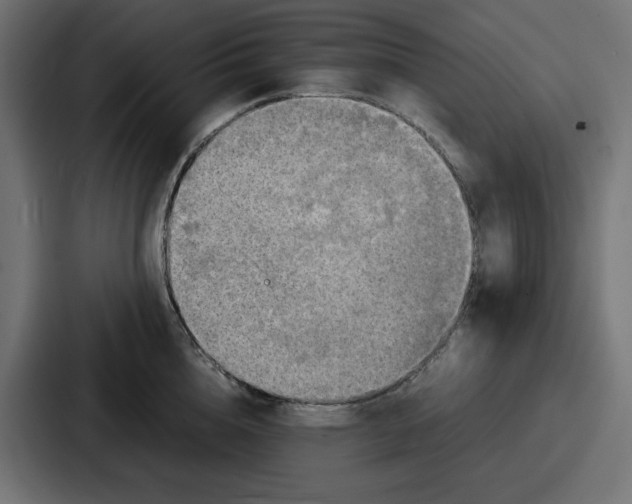 X0000086760856200705111713