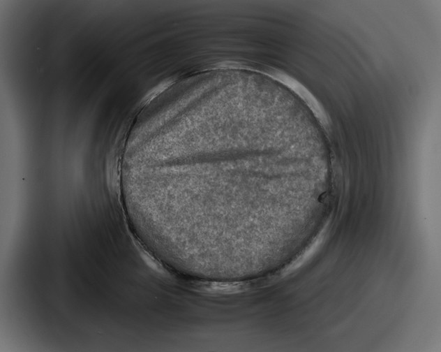 X0000086760857200705111713