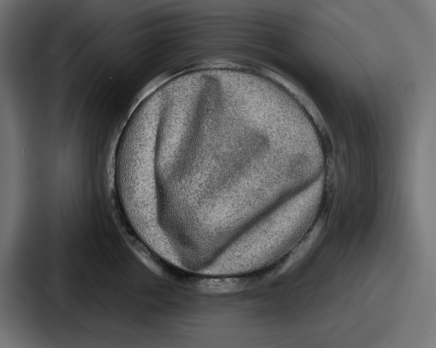 X0000086760858200705111713