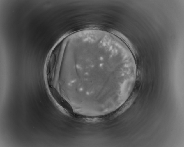 X0000086760859200705111713