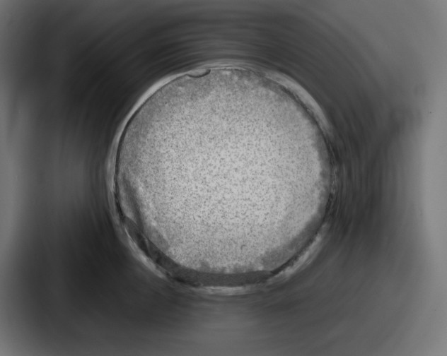 X0000086760860200705111713