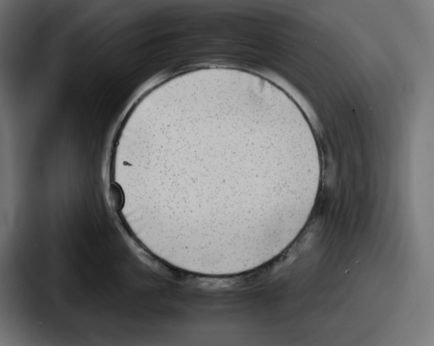 X0000086760861200705111714