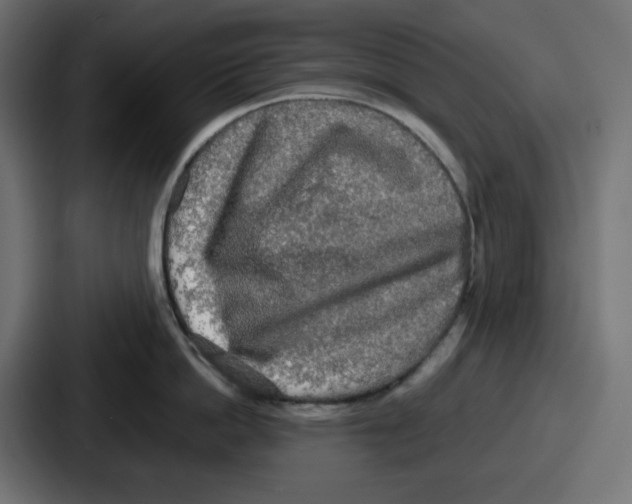 X0000086760862200705111714