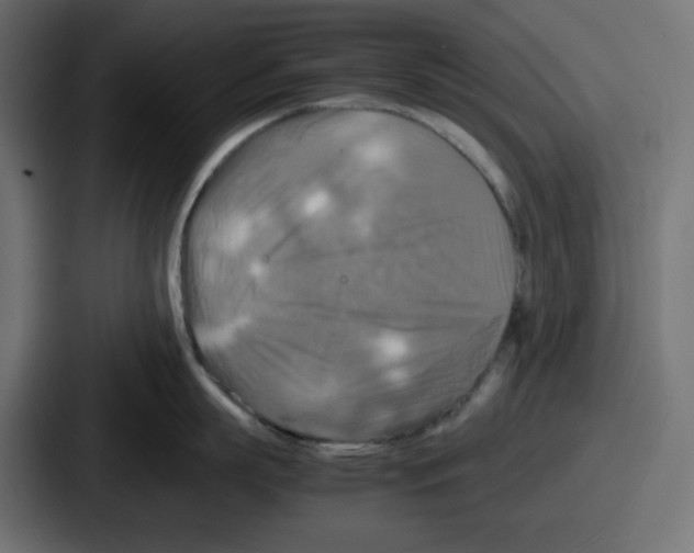 X0000086760863200705111714