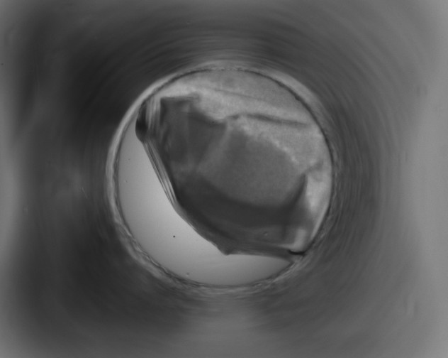 X0000086760864200705111714