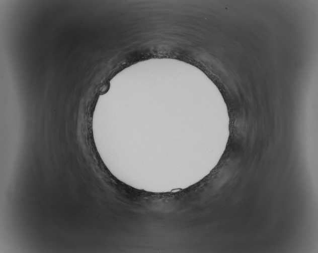 X0000086760865200705111713