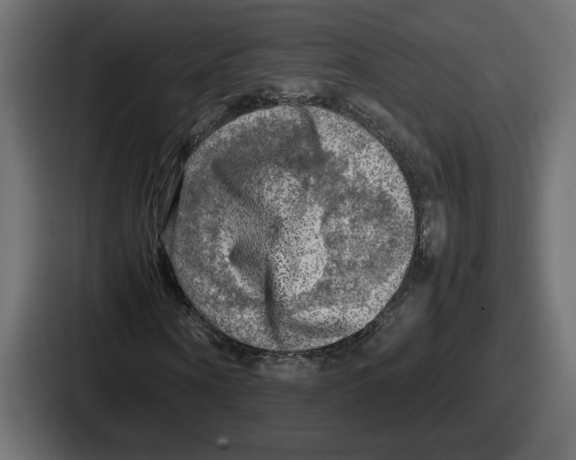 X0000086760866200705111713