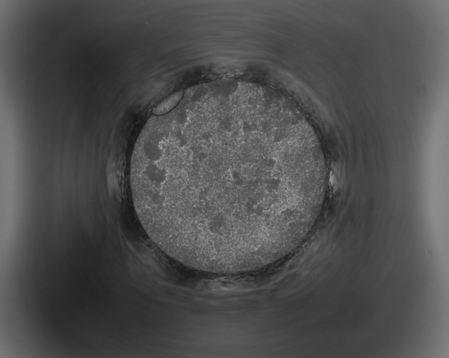 X0000086760867200705111713