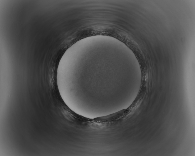 X0000086760868200705111713