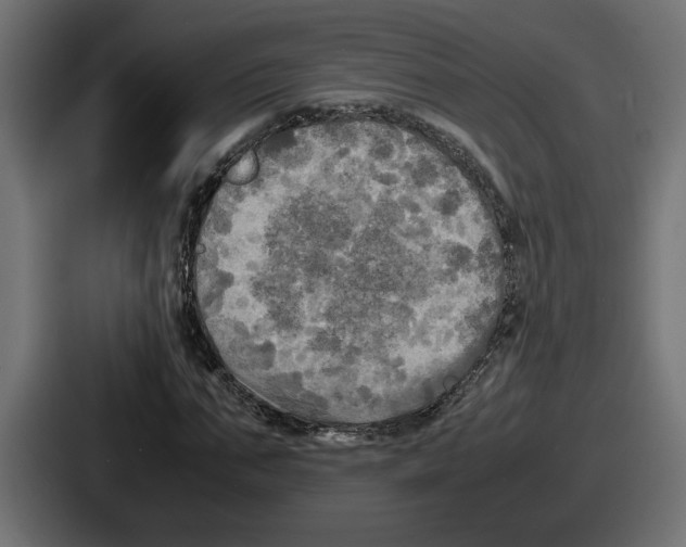 X0000086760871200705111713