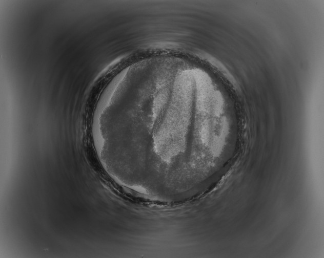 X0000086760872200705111713