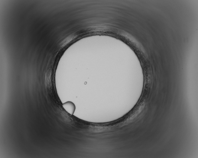 X0000086760873200705111713