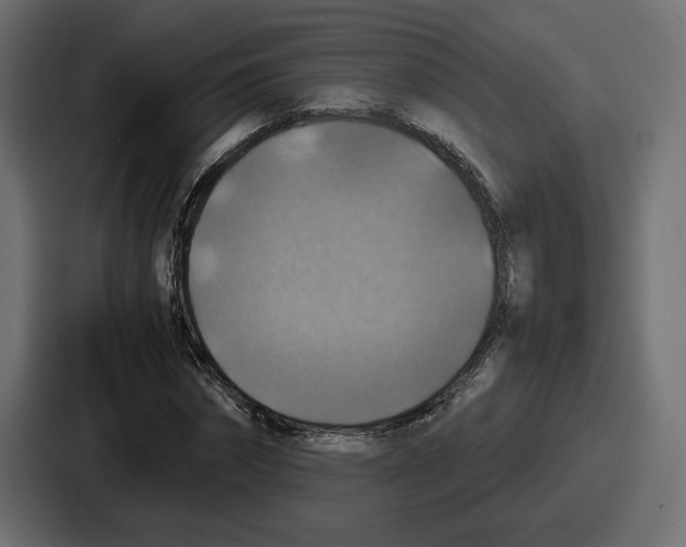 X0000086760874200705111713