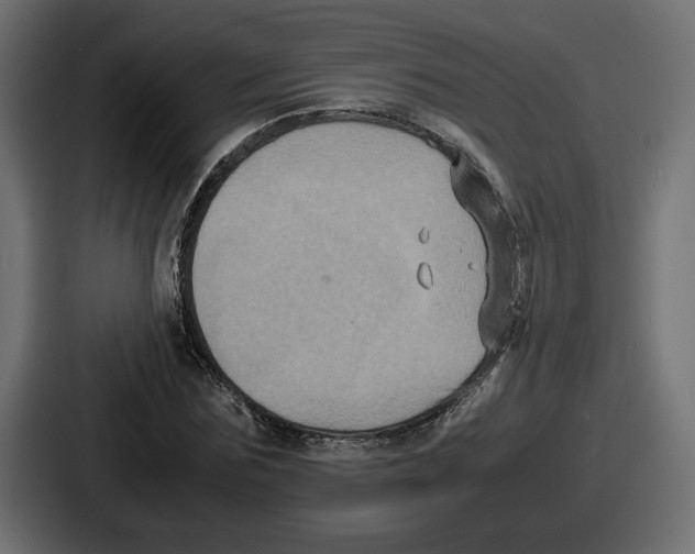 X0000086760875200705111713