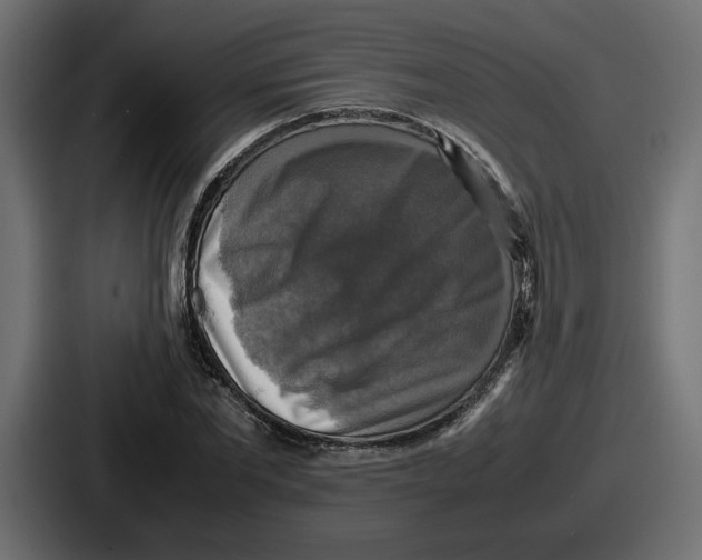 X0000086760877200705111713