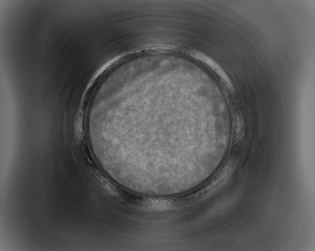 X0000086760878200705111713