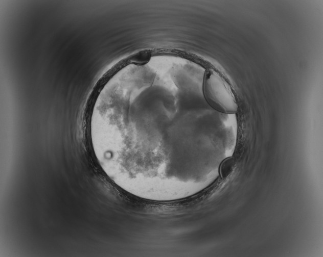 X0000086760879200705111713