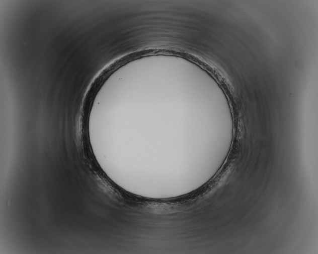 X0000086760880200705111713