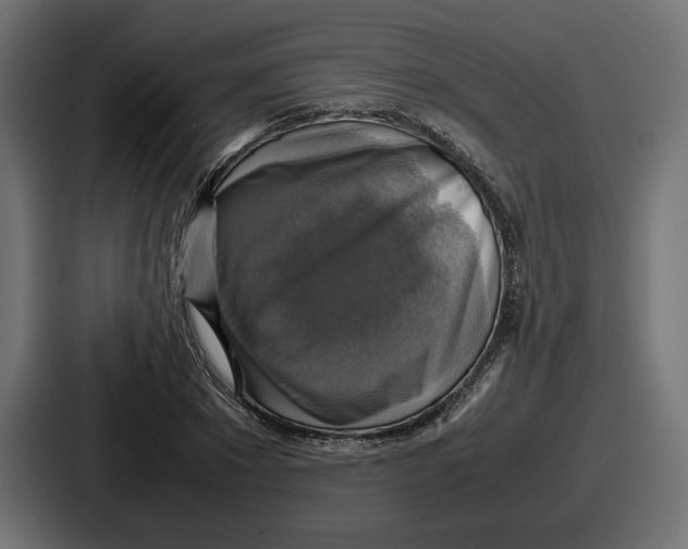 X0000086760881200705111713