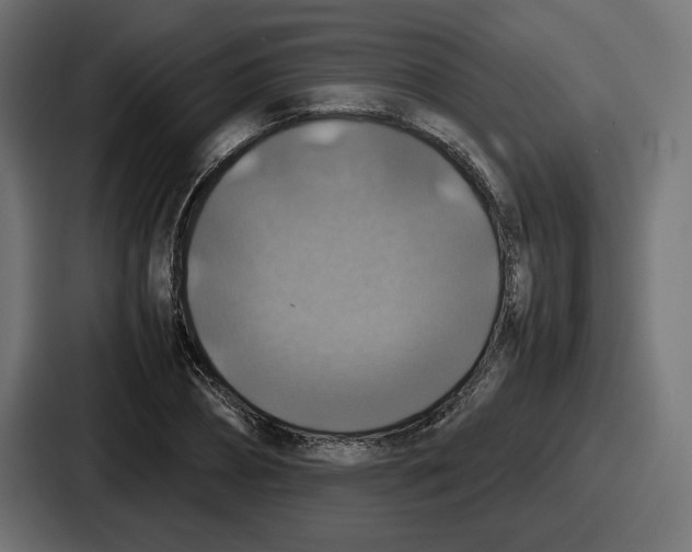 X0000086760882200705111713