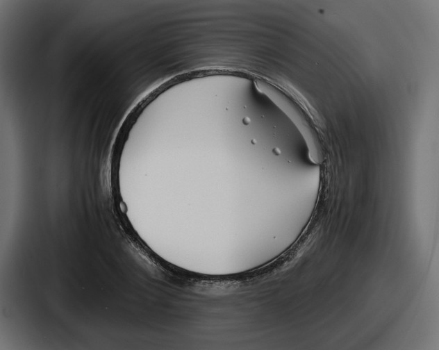 X0000086760884200705111713