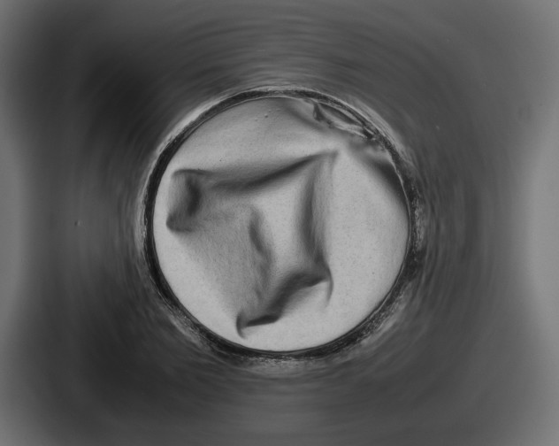 X0000086760885200705111713