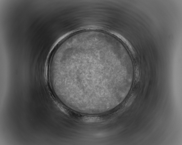 X0000086760886200705111713