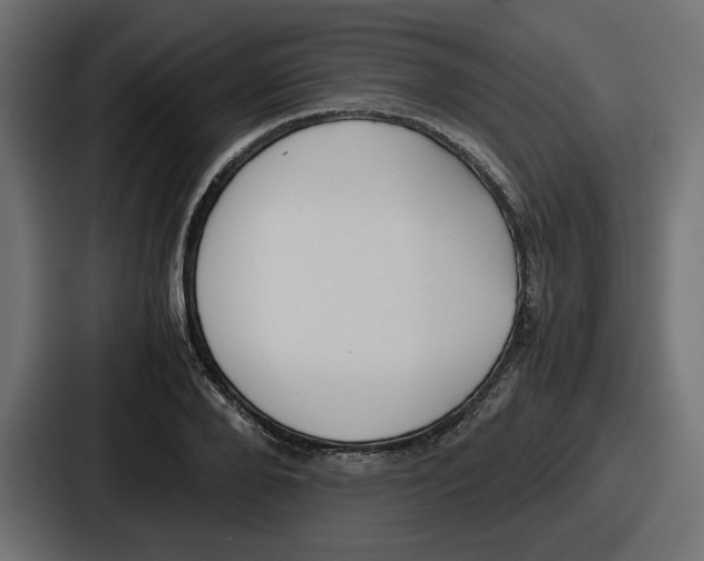 X0000086760888200705111713