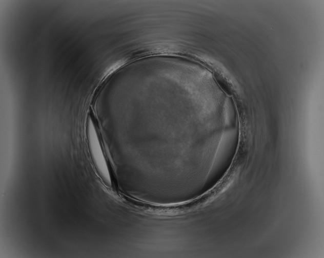 X0000086760889200705111713