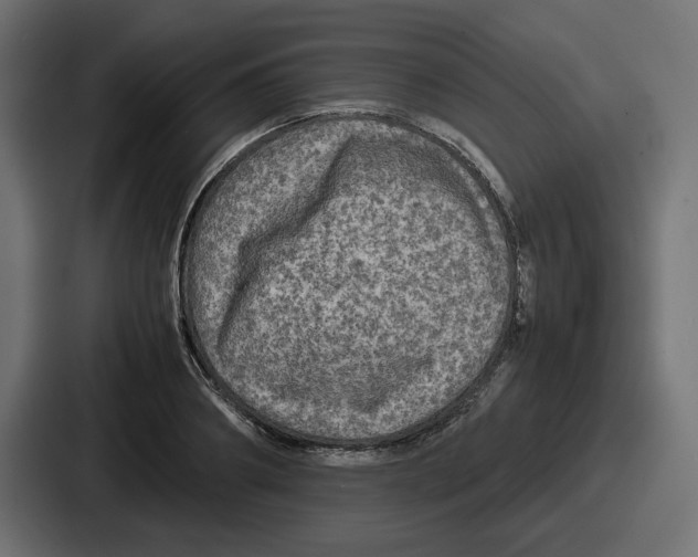 X0000086760890200705111713