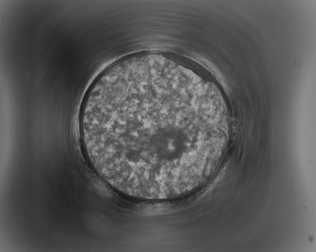 X0000086760891200705111713