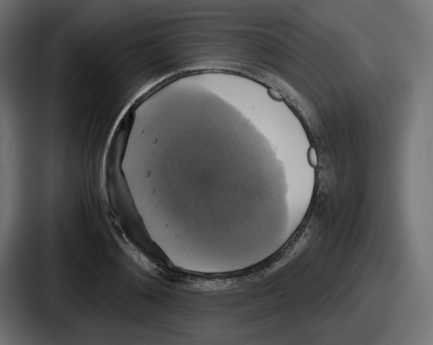 X0000086760892200705111713