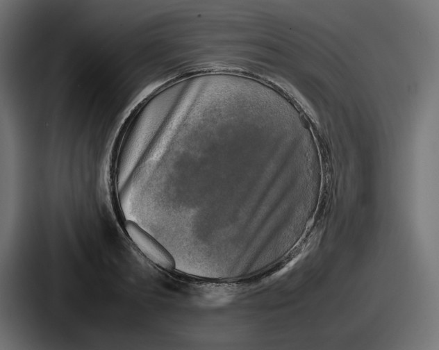 X0000086760893200705111713