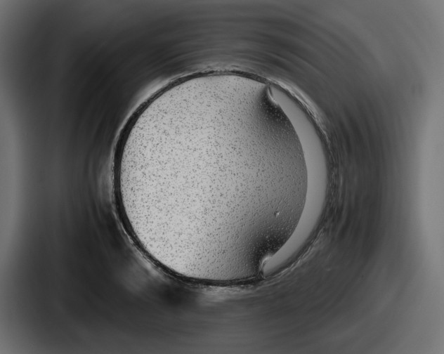 X0000086760894200705111713