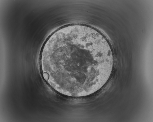 X0000086760895200705111713