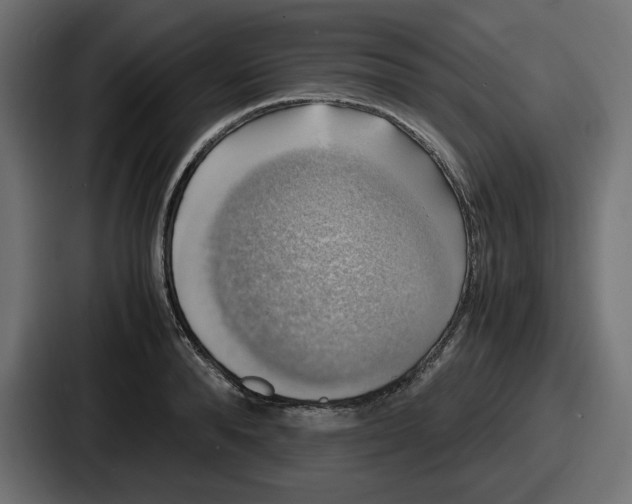 X0000086760896200705111713