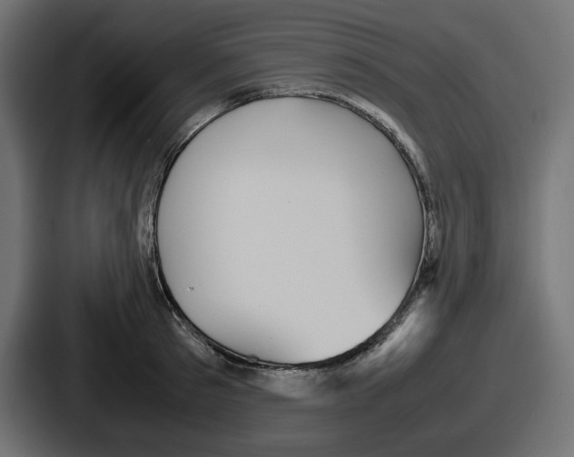 X0000086760897200705111713