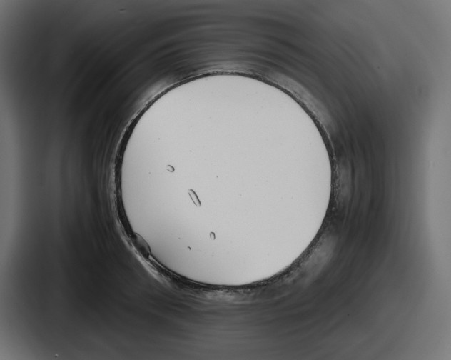 X0000086760898200705111713