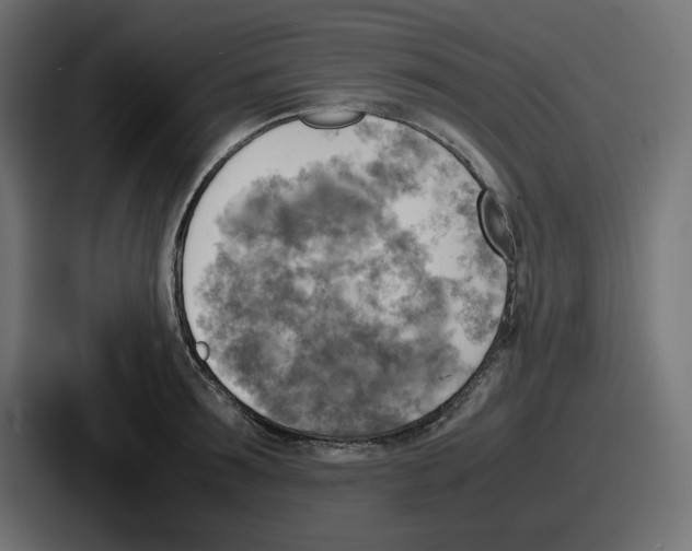 X0000086760899200705111712