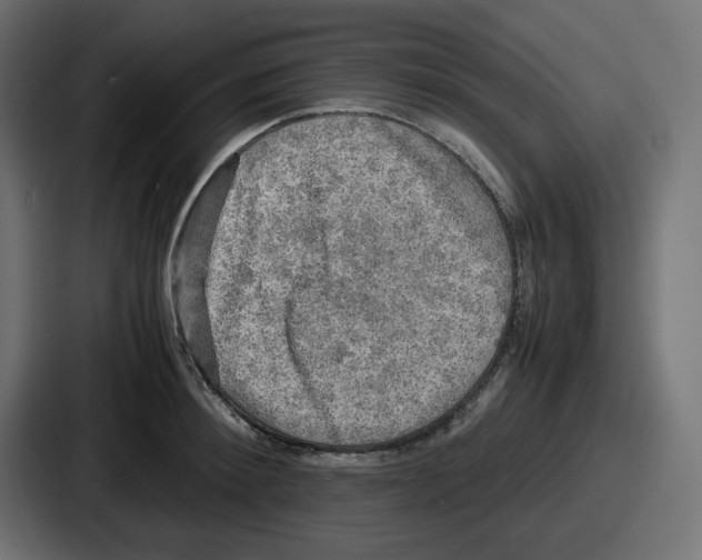 X0000086760900200705111712